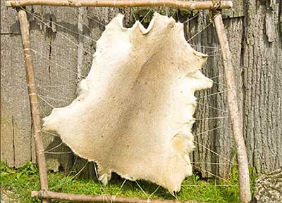 How to Tan Leather With Brains A Deer Hide Rack Sample - Consumer Files