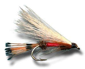 3-Main-Types-of-Fishing-Flies-streamer-flies-Consumer-Files