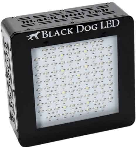 Best Grow Lights for Tomatoes Review - Black Dog BD240 Led Grow Light - 240W
