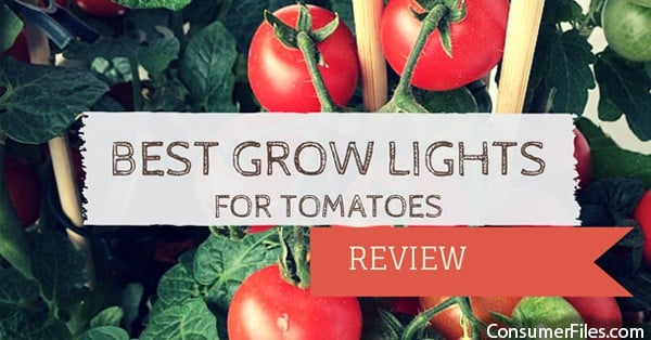 Best Grow Lights for Tomatoes Review - Consumer Files Reviews