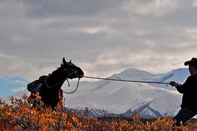 best-hunting-schools-in-the-us-pioneer-outfitters-horse-training-review-Consumer-Files