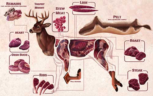 Cooking Venison Deer Meat - Consumer Files