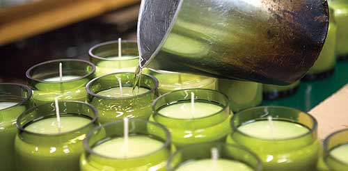 An Image of Pouring the Candles for How to Make Poured Tallow Candles