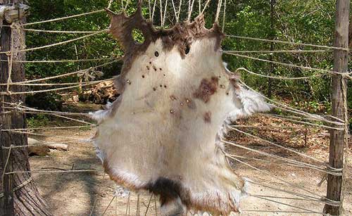 An Image of Tan a Hide of How to Make and Use Rawhide