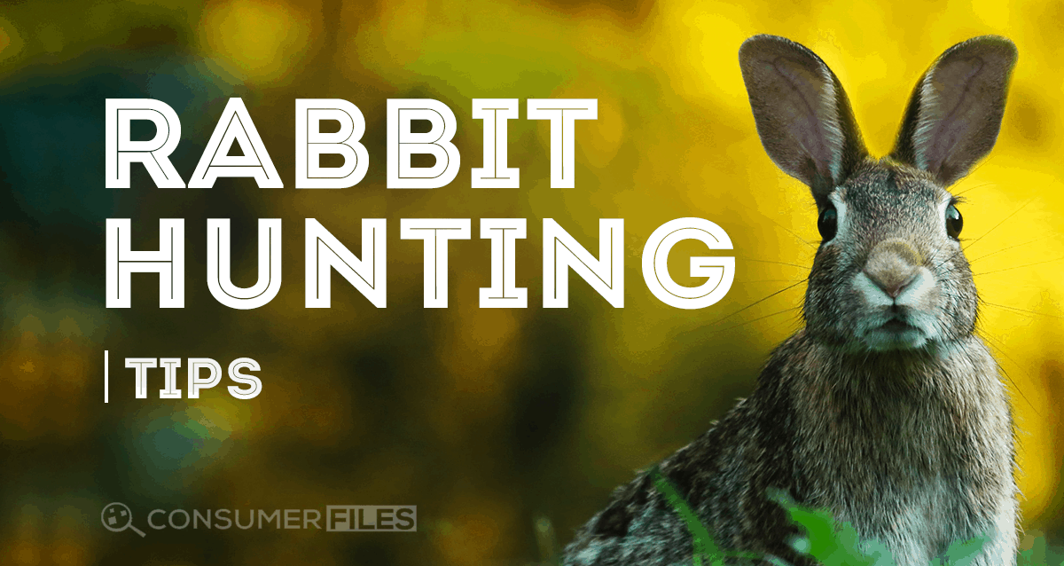 Rabbit Hunting Tips: How to Hunt Rabbits Like a Pro - Consumer Files