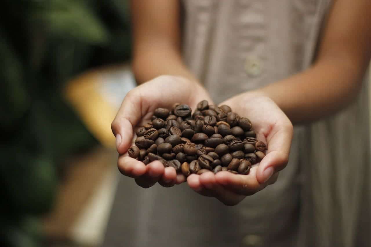 Coffee Beans in a Hand