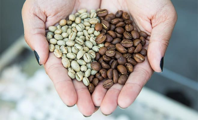 Different Types of Coffee Bean Roasts