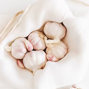 Garlic as one of the best survival plants and seeds