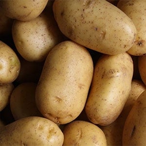 Potatoes as survival garden plant