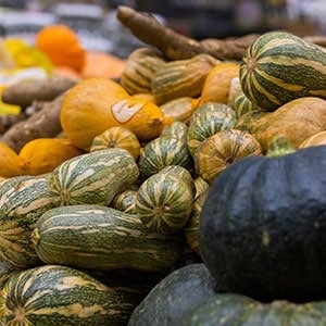 Squash as one of the best survival plants to grow 