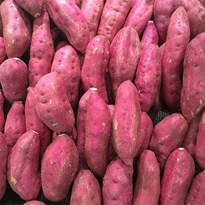 Sweet Potatoes as one of the best survival plants to grow 