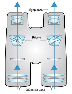 The design of roof prism binoculars where light passes through horizontally