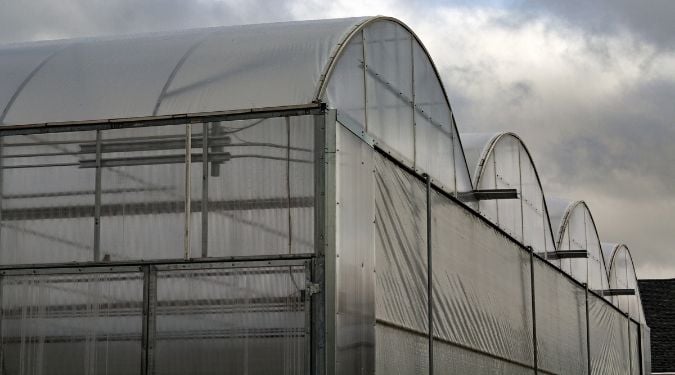 large greenhouse covered in plastic sheet on a cloudy day