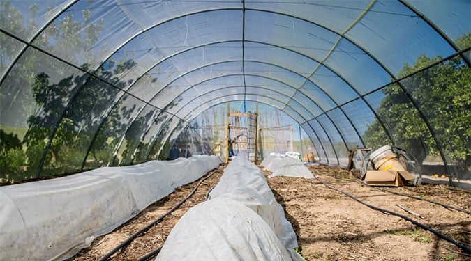 plastic-covered garden beds inside an unfinished greenhouse