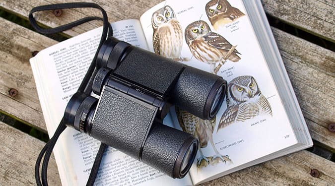 Black binoculars with strap on top of a bird identification book placed on a wooden table