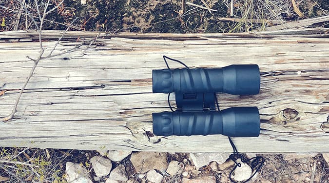 Black binoculars with thin strap on top of a log outdoors