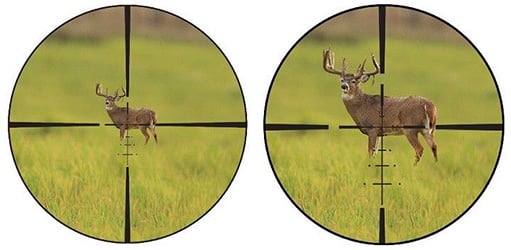 the first one shows a deer farther away and the second shows the deer appearing larger and nearer