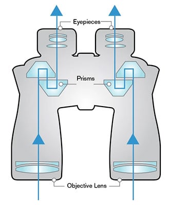 An illustration of how the light passes through in Porro prism binoculars
