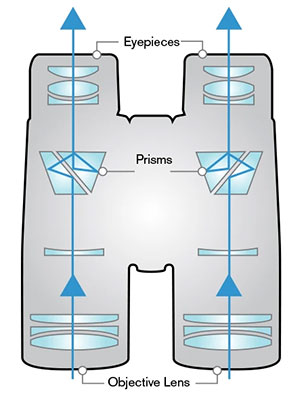 An illustration of how light passes through in roof prism binoculars