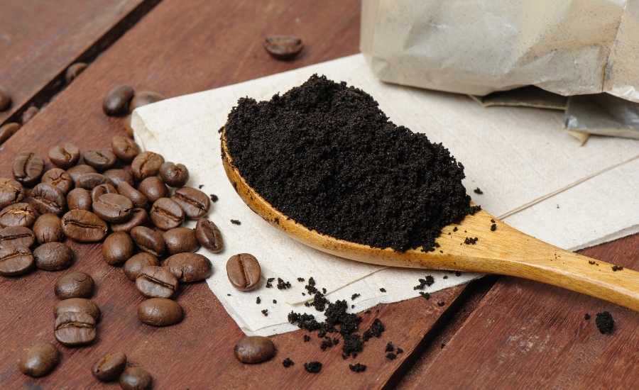A wooden table with whole coffee beans and a wooden spoonful of finely ground coffee